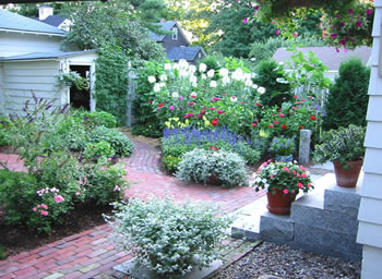 Portfolio Image 1